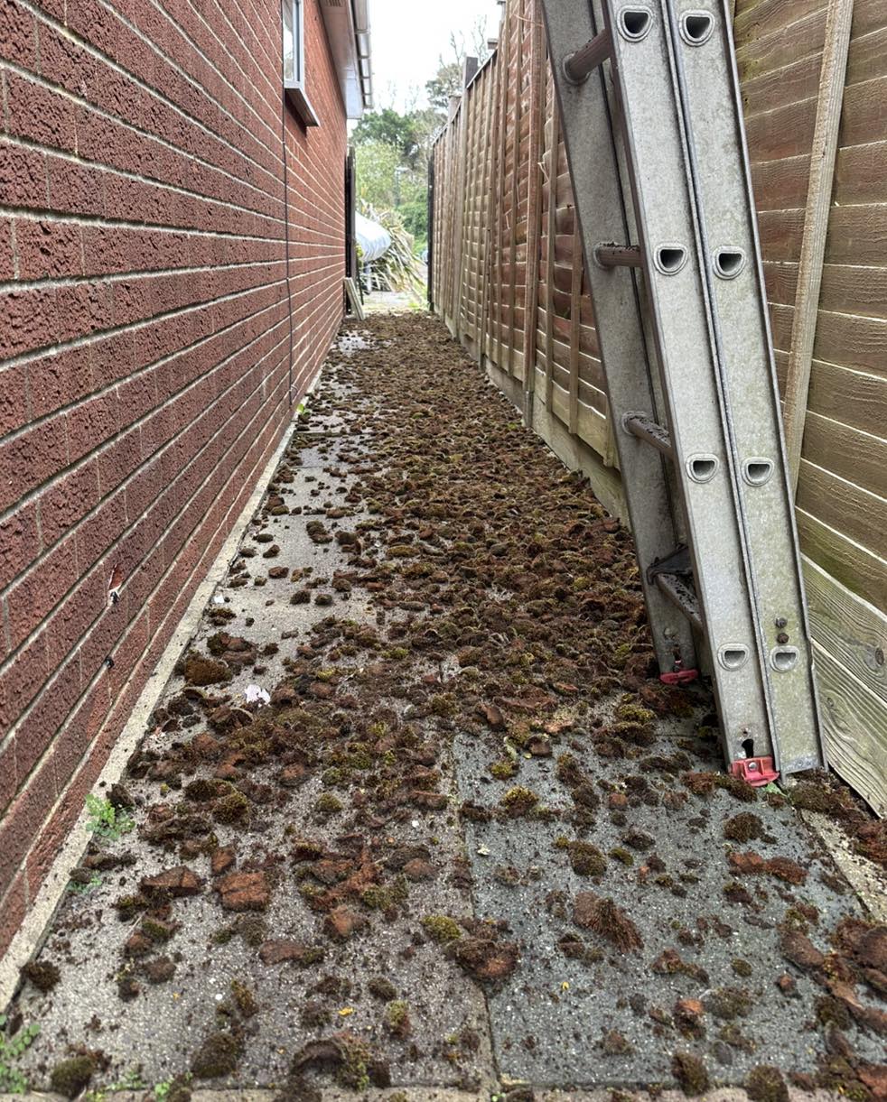 Gutter clearing — moss and debris removed from path — South Coast Exteriors